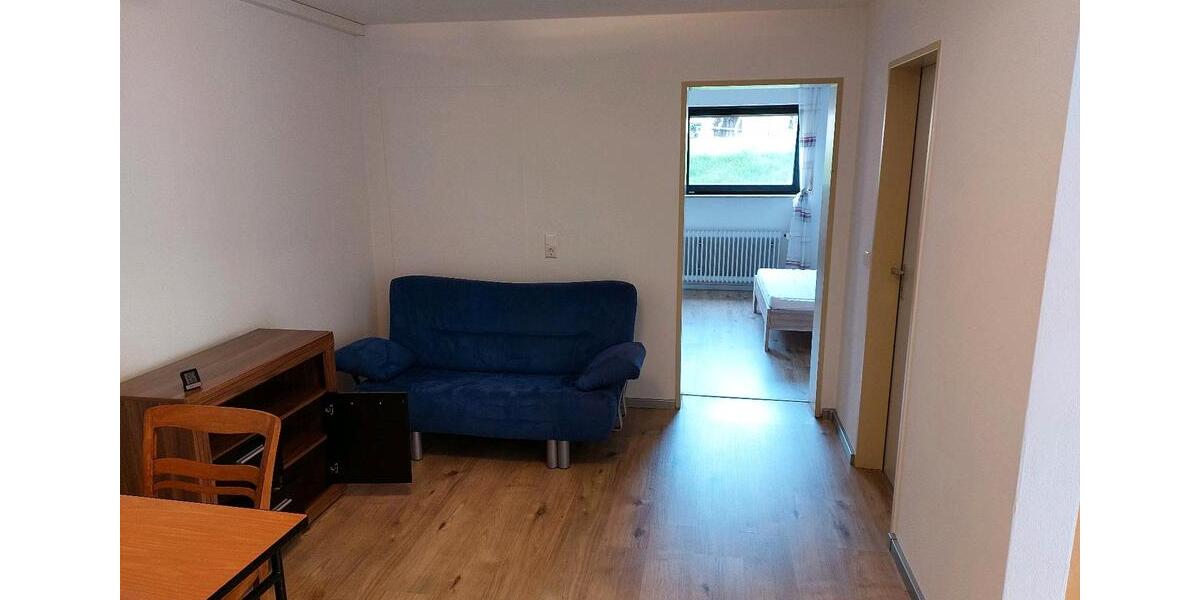 Etagenwohnung Breisach am Rhein - 1 Zimmer, 42 m&sup2;, 590&euro; | Angebot:24740431