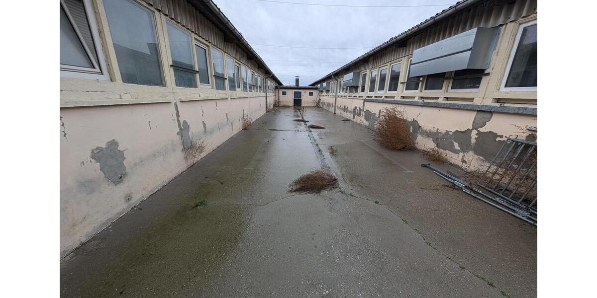 Gewerbeobjekt Jessen (Elster) - 785&euro; | Angebot:24373632