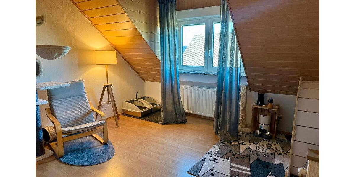 Dachgeschoßwohnung Mayen - 3 Zimmer, 90 m&sup2;, 850&euro; | Angebot:24817502