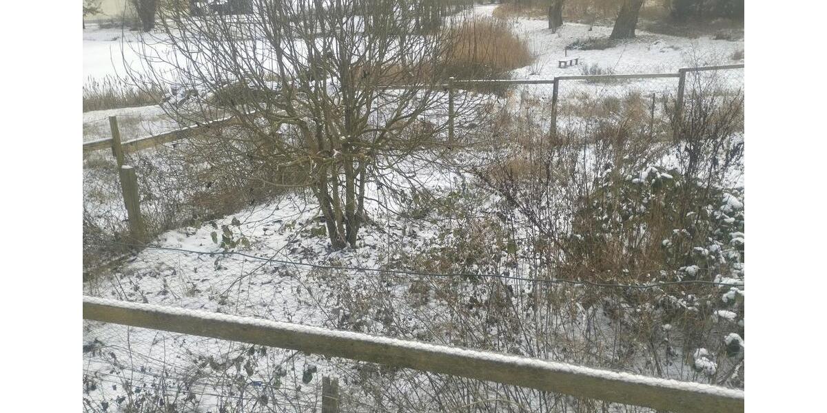 2 Zimmer Wohnung zu vermieten 47m² in 17335 Rosenthal b Strasburg 2 zimmer