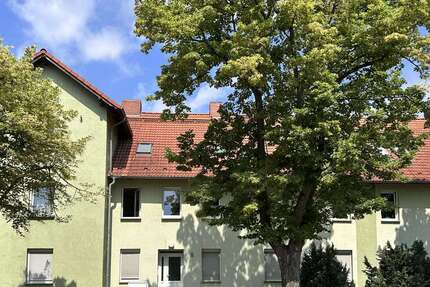 Wohnung Egeln - 2 Zimmer, 66 m&sup2;, 386&euro; | Angebot:26956489