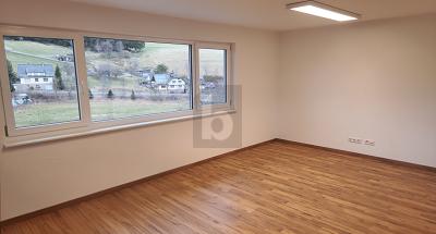 KOMFORT MIT ERSTKLASSIGER PREMIUM-AUSSTATTUNG - Erdgeschoßwohnung Sankt Georgen im Schwarzwald | Angebot:25133827