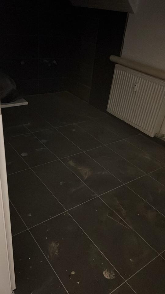 4 Zimmer Wohnung in Ludwigshafen Mundenheim