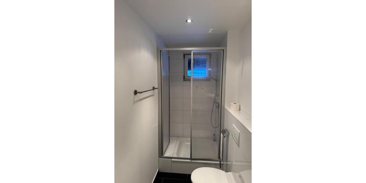 Etagenwohnung Friesenheim - 2 Zimmer, 62 m&sup2;, 840&euro; | Angebot:24785879