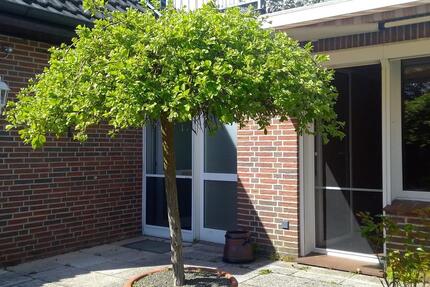 Wohnung Hanstedt - 4 Zimmer, 169 m&sup2;, 1.300&euro; | Angebot:24631623