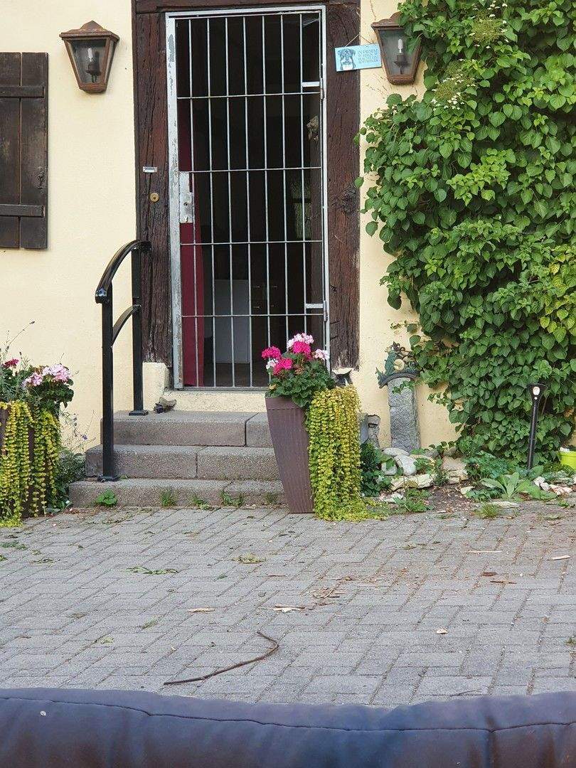 Wohnen im Grünen 2 zimmer