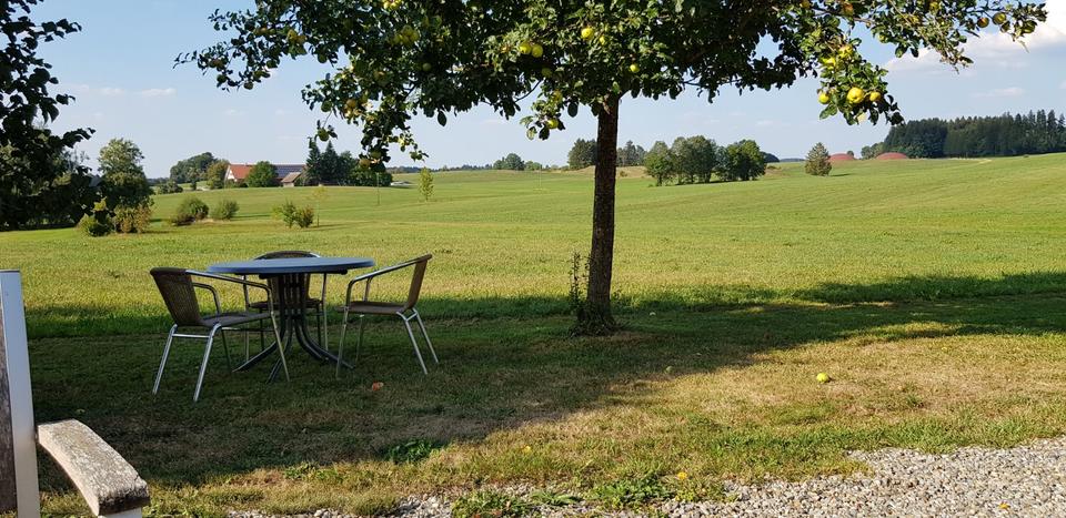 Wohnen auf Zeit Argenbühl - 1 Zimmer, 20 m&sup2;, 540&euro; | Angebot:24906469