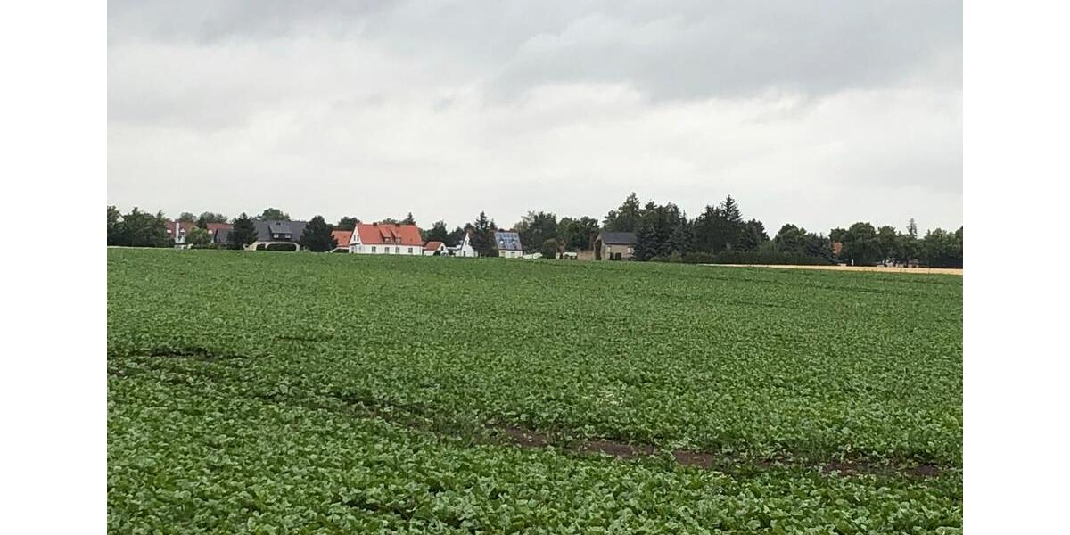 Gewerbeobjekt Halle (Saale) Büschdorf - 600&euro; | Angebot:26636569