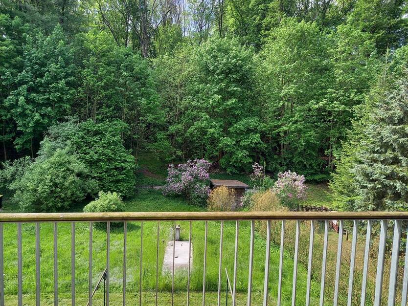 Große 2-RaumWohnung mit 2 Balkonen, Dusche und Blick ins Grüne