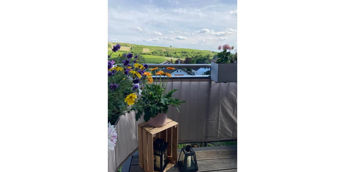 Dachgeschoßwohnung Gensingen - 3.5 Zimmer, 100 m&sup2;, 1.000&euro; | Angebot:26020020