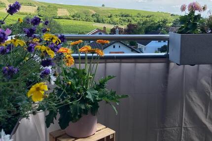 Wohnung Gensingen - 3.5 Zimmer, 100 m&sup2;, 1.000&euro; | Angebot:26020020