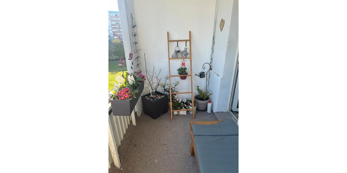 Etagenwohnung Neubrandenburg Carlshöhe - 4 Zimmer, 73 m&sup2;, 810&euro; | Angebot:26387358