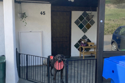 Wohnung Bisingen - 4 Zimmer, 90 m&sup2;, 980&euro; | Angebot:25948420