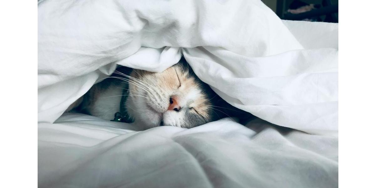 Einfamilienhaus Paderborn - 4 Zimmer, 155 m&sup2;, 2.400&euro; | Angebot:24643902