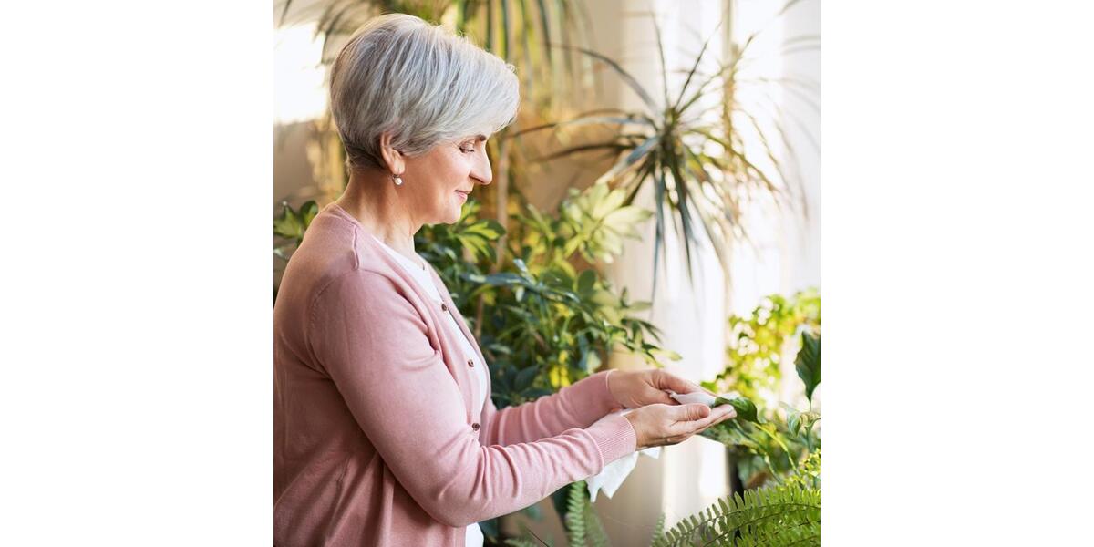 Etagenwohnung Neubrandenburg Carlshöhe - 1 Zimmer, 37 m&sup2;, 234&euro; | Angebot:25479775