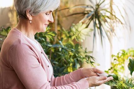 Wohnung Neubrandenburg Carlshöhe - 1 Zimmer, 37 m&sup2;, 234&euro; | Angebot:25479775