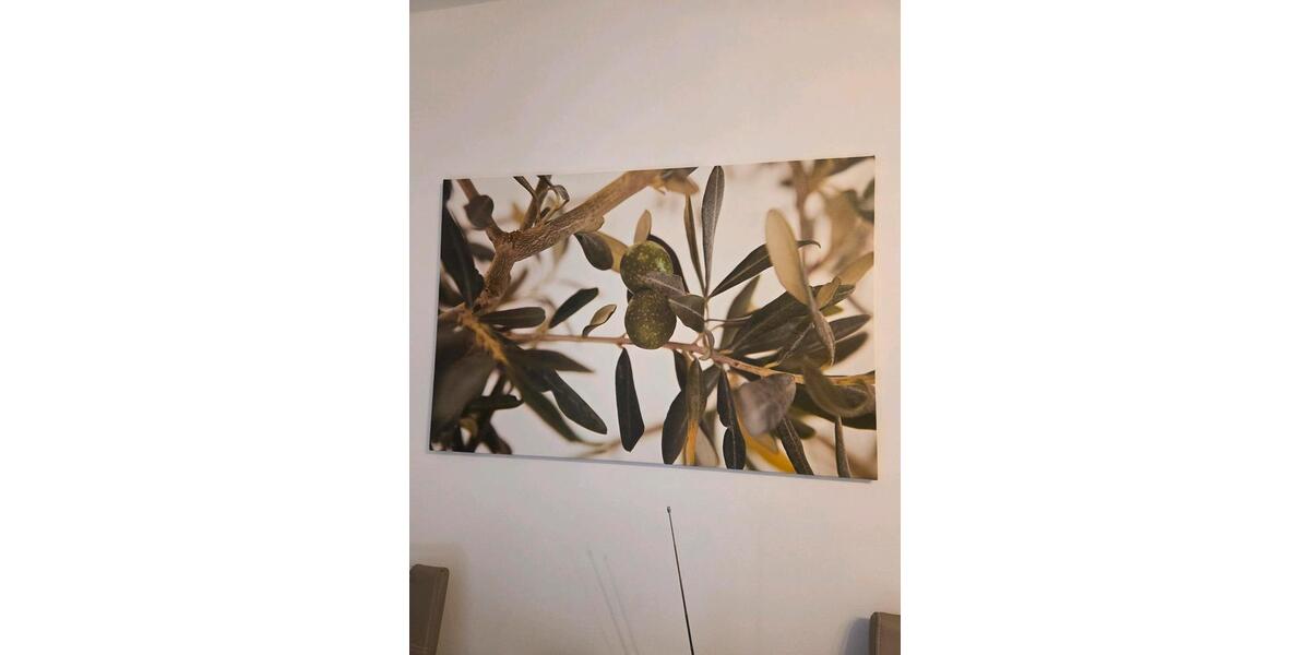 Wohnen auf Zeit Zwickau - 2 Zimmer, 52 m&sup2;, 10&euro; | Angebot:25419215