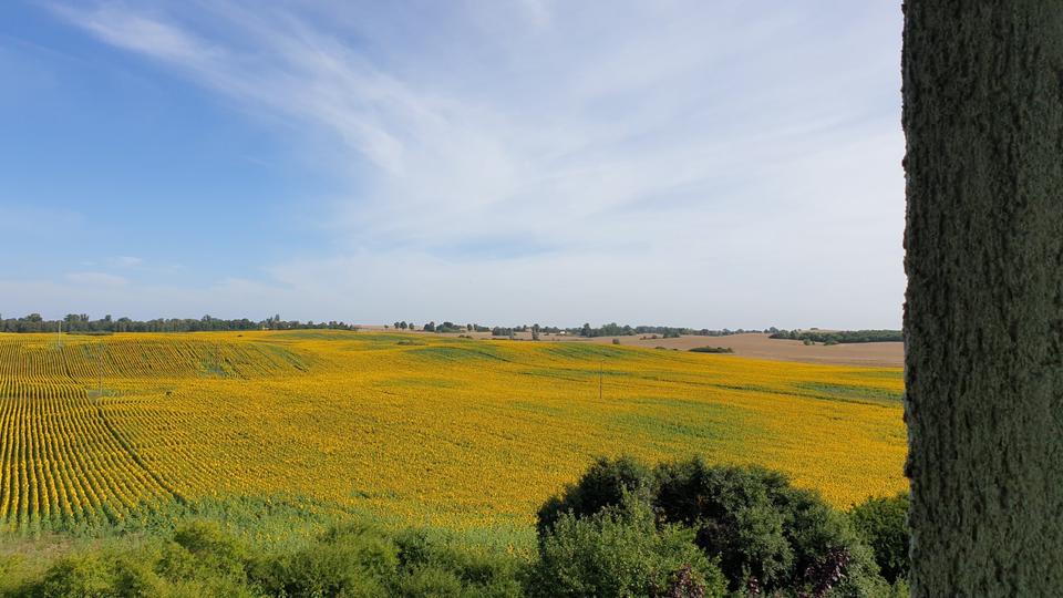 Etagenwohnung Blankensee - 2 Zimmer, 47 m&sup2;, 270&euro; | Angebot:20608449