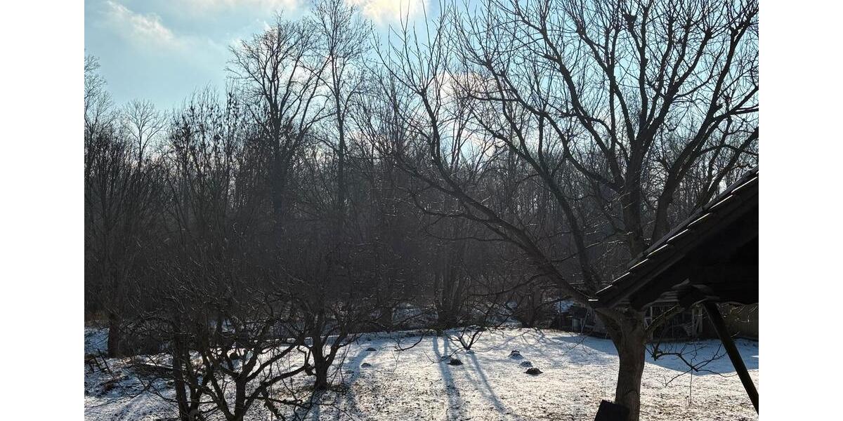 Dachgeschoßwohnung Gundelfingen an der Donau - 3 Zimmer, 100 m&sup2;, 1.150&euro; | Angebot:24414115