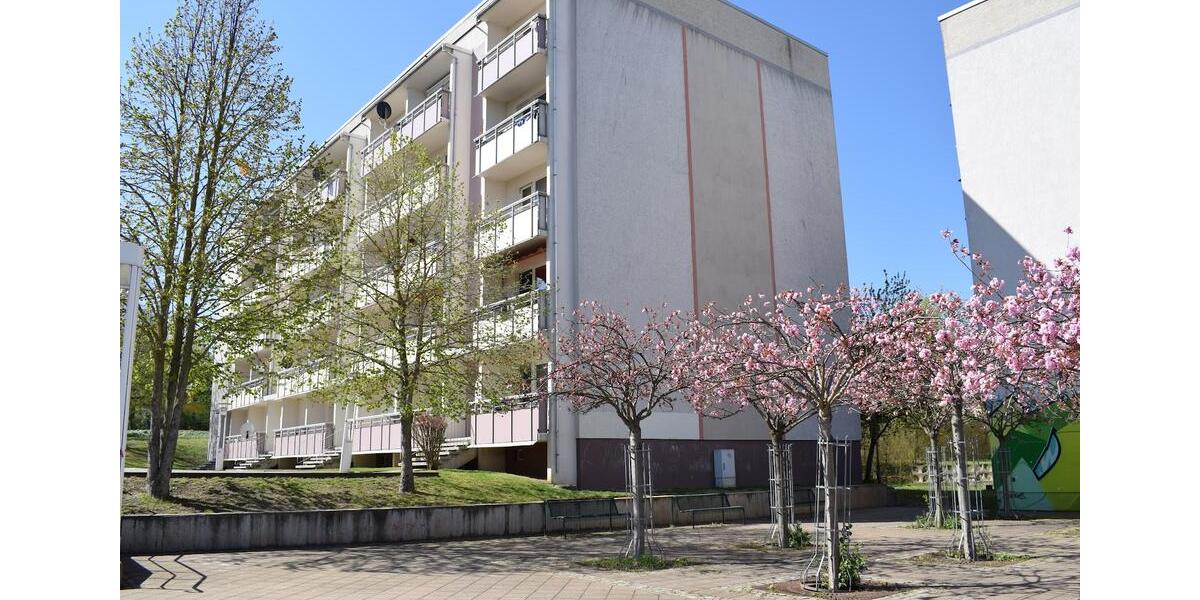 Etagenwohnung Gotha - 3 Zimmer, 51 m&sup2;, 305&euro; | Angebot:26563055