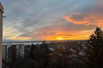 Wohnen auf Zeit Immenstaad am Bodensee - 1 Zimmer, 25 m&sup2;, 600&euro; | Angebot:26250485