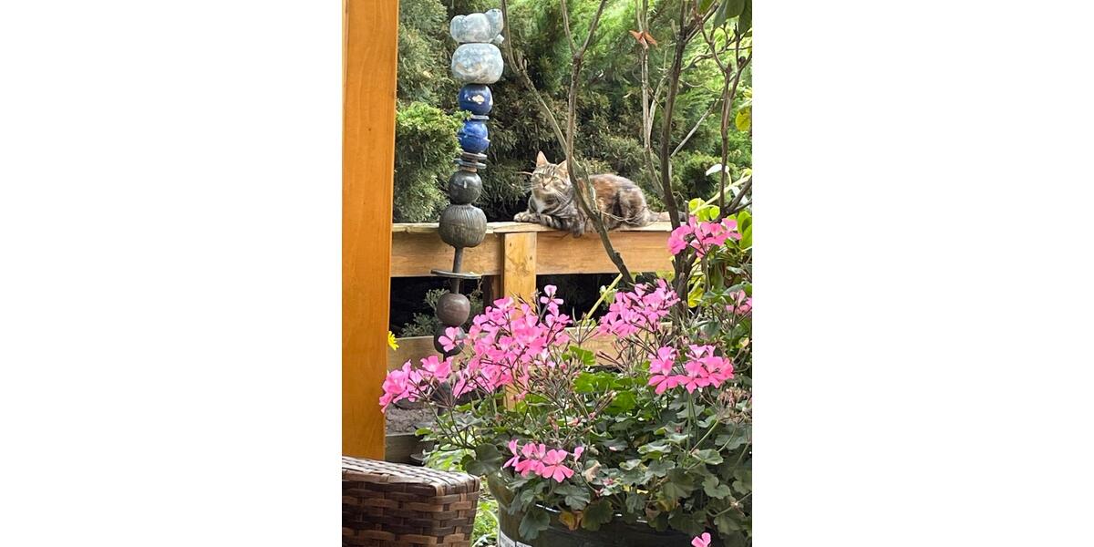 Wohnen auf Zeit Steinhöfel - 15 Zimmer, 18 m&sup2;, 350&euro; | Angebot:25757048