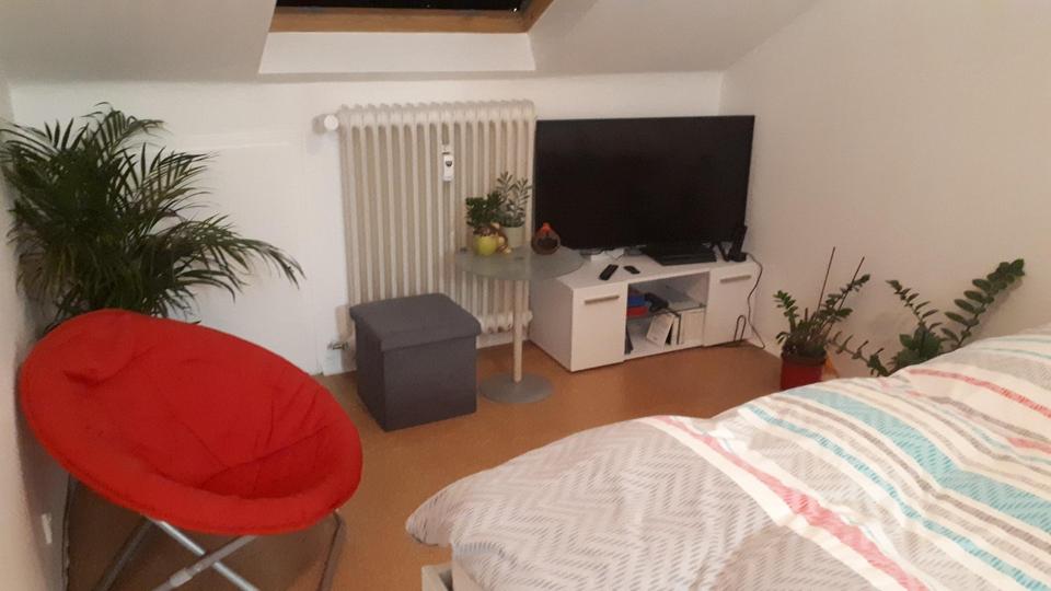 Dachgeschoßwohnung Bad Soden-Salmünster Salmünster - 1 Zimmer, 20 m&sup2;, 300&euro; | Angebot:25653887