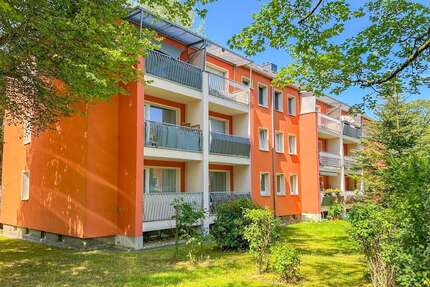 Wohnung zum Mieten in Chemnitz 300 € 55.75 m² 2 zimmer