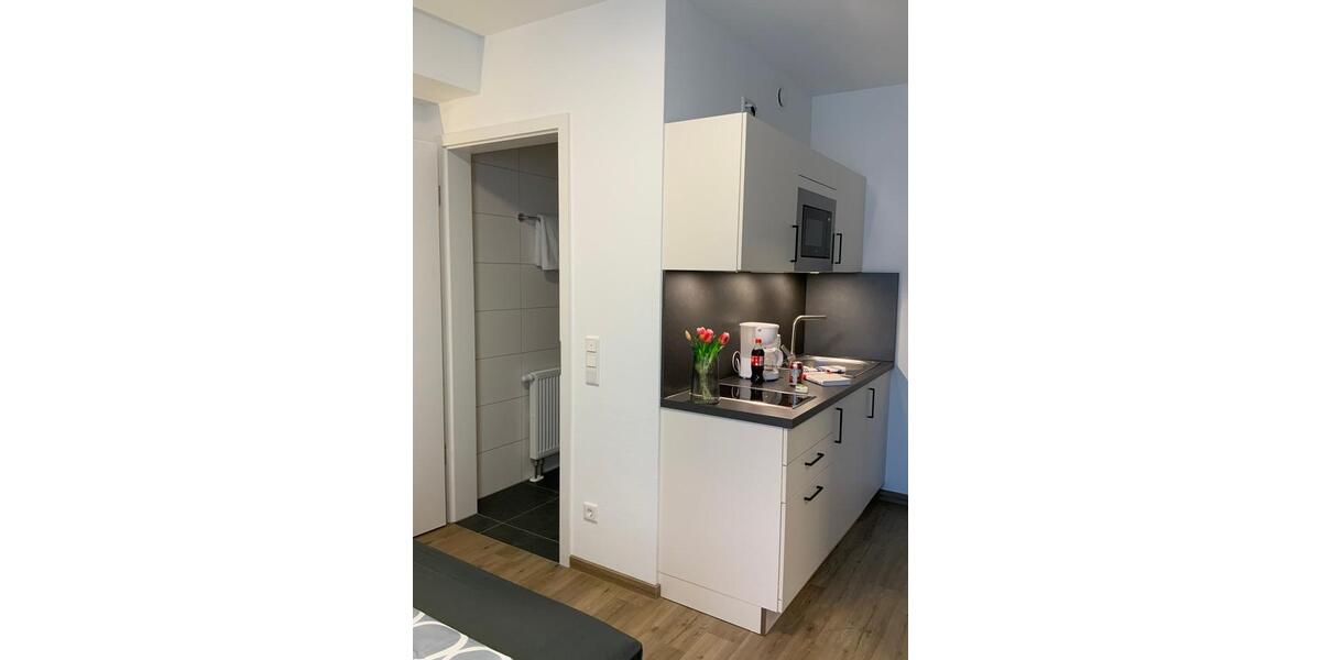 Wohnen auf Zeit Weimar - 1 Zimmer, 29 m&sup2;, 695&euro; | Angebot:24751379