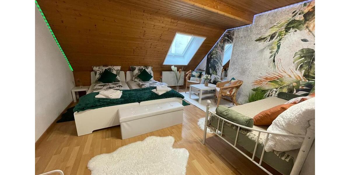 Etagenwohnung Rüsselsheim am Main - 1 Zimmer, 50 m&sup2;, 18&euro; | Angebot:26516595