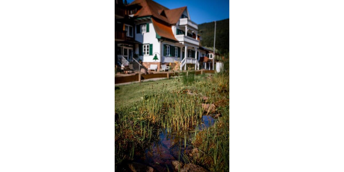 Wohnen für Lebensmeister (Kreative,Körperarbeit,Heilarbeit) 3 zimmer