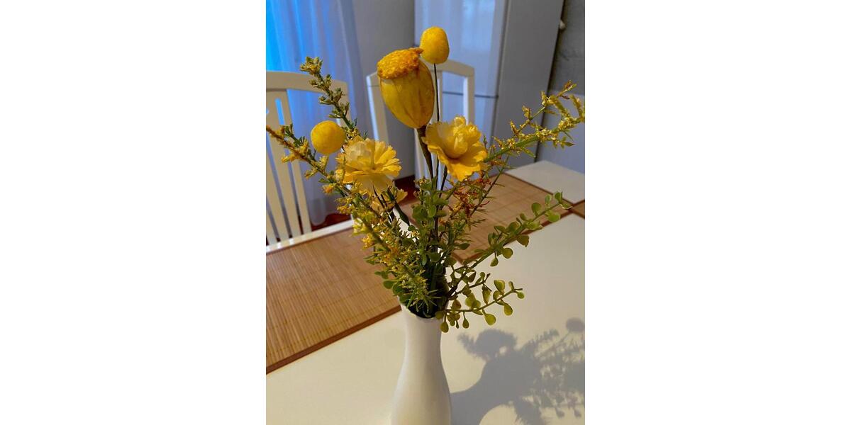 Wohnen auf Zeit Homberg (Efze) - 4 Zimmer, 113 m&sup2;, 17&euro; | Angebot:26252082