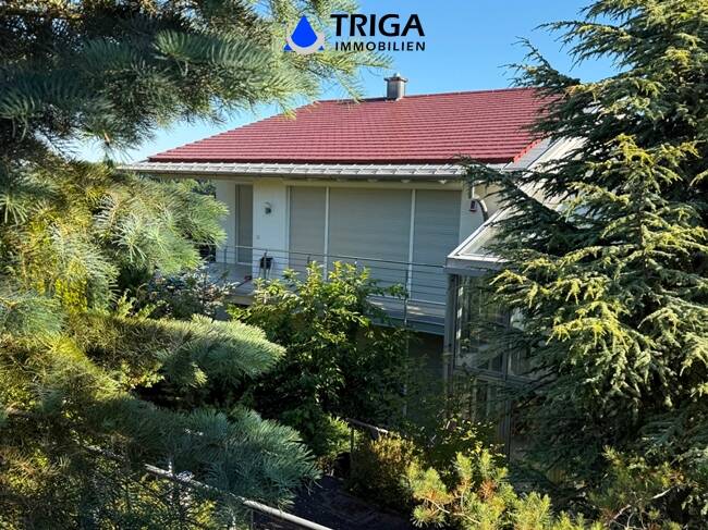 Doppelhaushälfte Nordhausen - 7 Zimmer, 340 m&sup2;, 2.200&euro; | Angebot:25703987