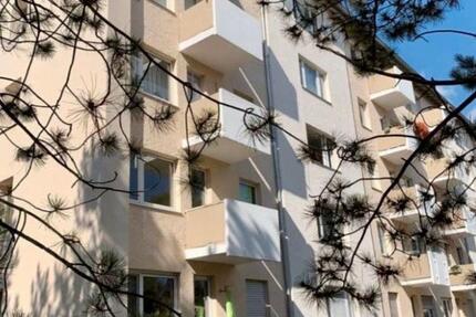 Vermiete 3 Zimmer Wohnung in Ingelheim am Rhein