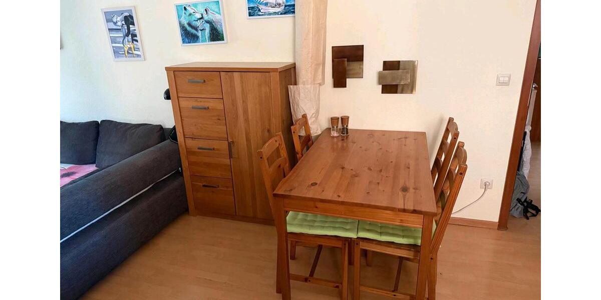 Wohnen auf Zeit Heidelberg Bahnstadt - 1 Zimmer, 45 m&sup2;, 1.200&euro; | Angebot:26642111