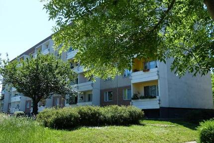 Wohnung Seeland Gatersleben - 3 Zimmer, 61 m&sup2;, 319&euro; | Angebot:20749189