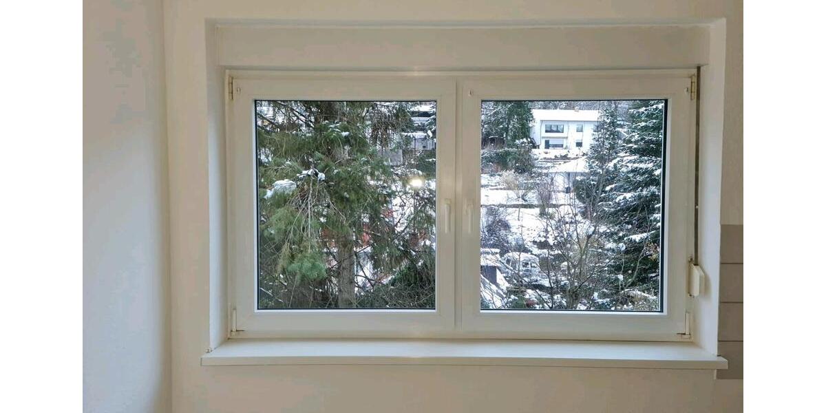 Etagenwohnung Kaiserslautern Engelshof - 2 Zimmer, 87 m&sup2;, 1.200&euro; | Angebot:26699966