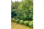 Dachgeschoßwohnung Hitzacker (Elbe) - 3 Zimmer, 79 m&sup2;, 900&euro; | Angebot:26462007