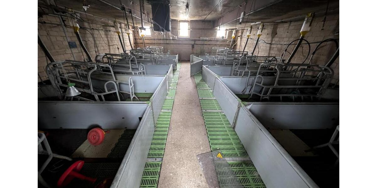 Gewerbeobjekt Jessen (Elster) - 785&euro; | Angebot:24373632