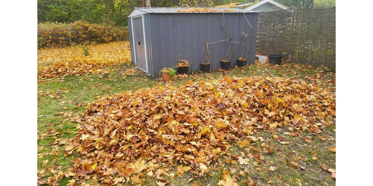 Wohnen auf Zeit Falkensee - 5 Zimmer, 135 m&sup2;, 2.500&euro; | Angebot:25893556