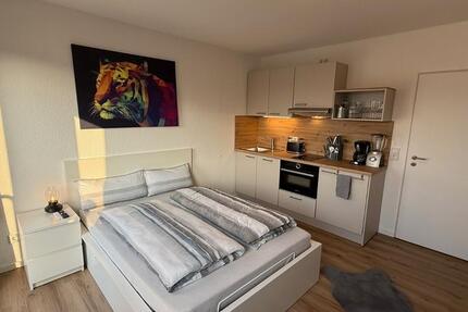 Apartment mit Internet und Küche inkl. Spülmaschine 1 zimmer