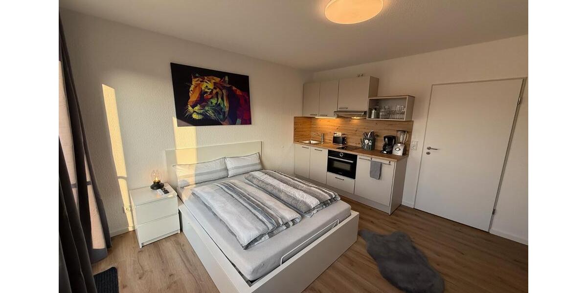 Apartment mit Internet und Küche inkl. Spülmaschine 1 zimmer