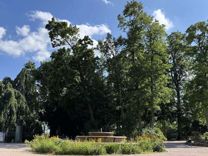 Haus zum Mieten in Königstein im Taunus 4.600 € 319 m²