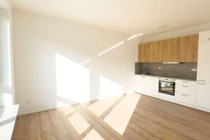 Neubau-Apartments mit 2,5 Zimmer: Barrierearm, energieeffizient und zentrumsnah 2 zimmer