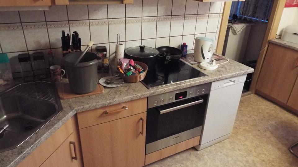 HofSaale 2-Zimmer , Küche , Bad mit eventueller GArtennutzung 2 zimmer