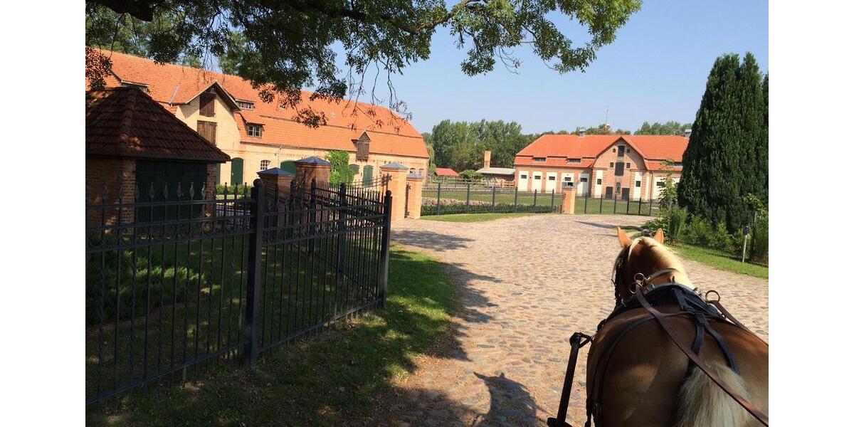 Etagenwohnung Krackow - 2 Zimmer, 65 m&sup2;, 660&euro; | Angebot:25639933