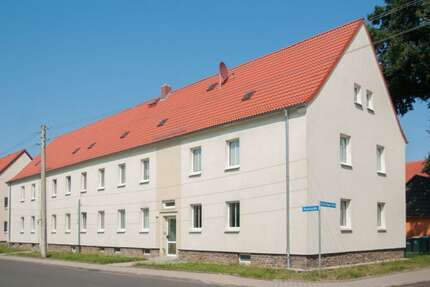Wohnung zum Mieten in Böhlen 486,33 € 55.9 m² 2 zimmer
