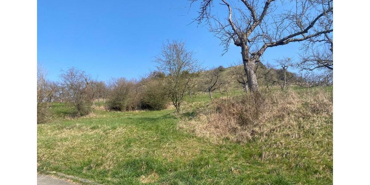 Etagenwohnung Bisingen - 4 Zimmer, 90 m&sup2;, 980&euro; | Angebot:25948420