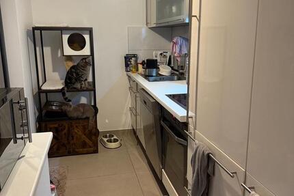 5 Zimmerwohnung EG 5 zimmer