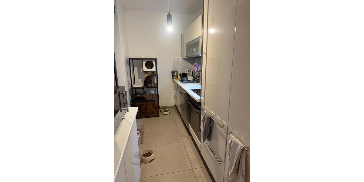 5 Zimmerwohnung EG 5 zimmer